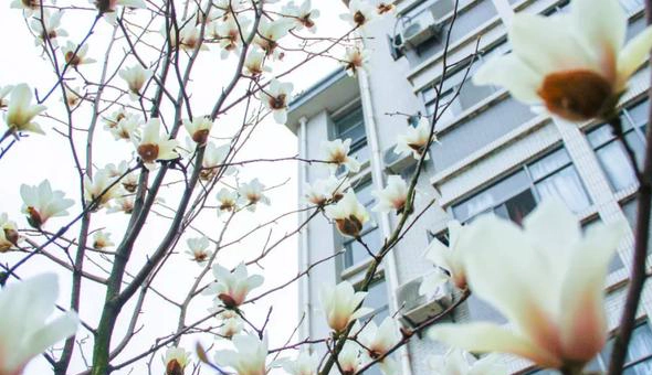 淡江大学