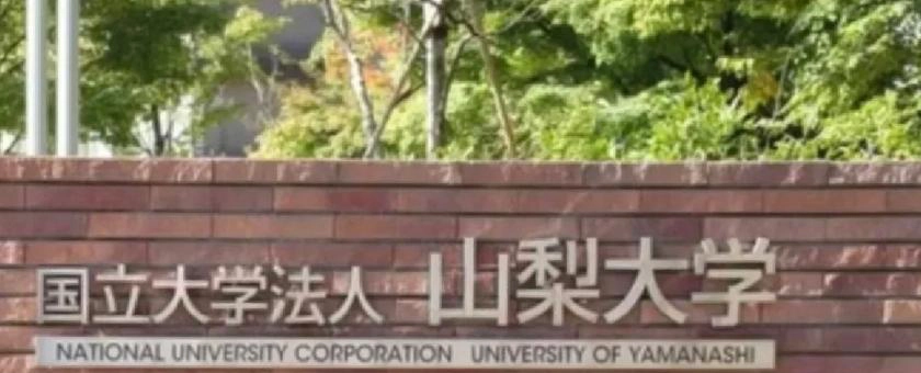 山梨大学