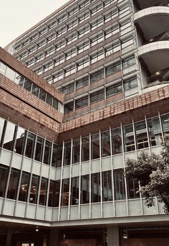 香港大学