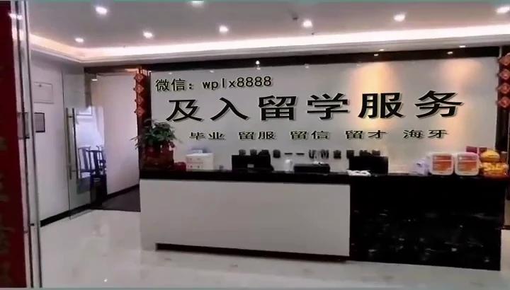 毕业文凭资料-公司的过程