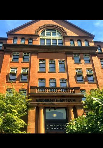 哈佛大学
