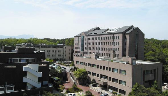 首尔大学