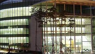 弘益大学