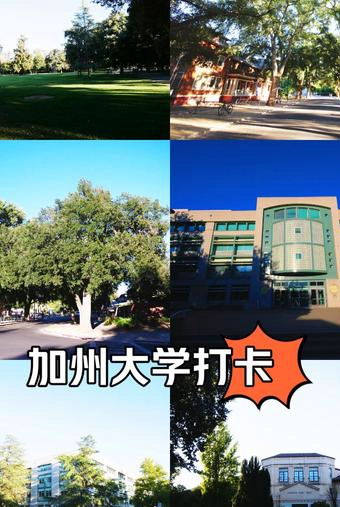 加州大学戴维斯分校
